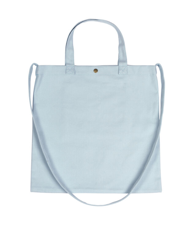 TX 181 - Bolsa Lagrasse.