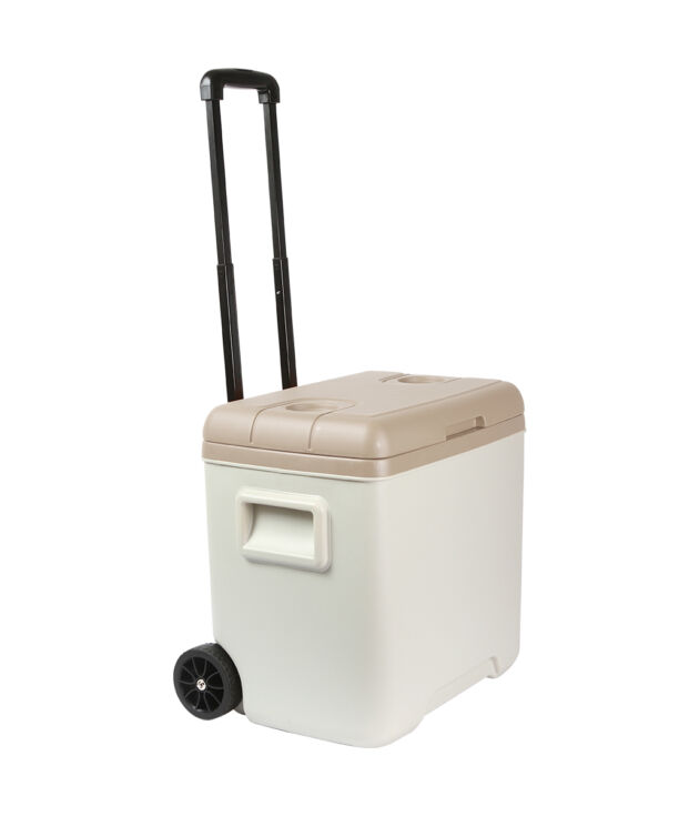 TX 306 - Hielera Oggau.